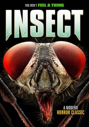 Insect