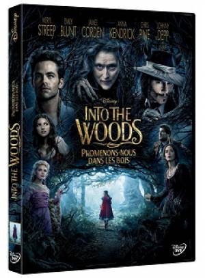 Into The Woods, Promenons-nous Dans Les Bois