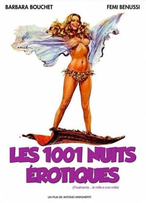 Les 1001 Nuits Érotiques