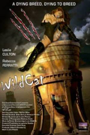 Wildcat