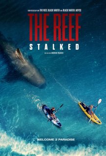 The Reef: Stalked