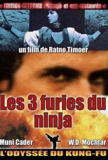 Les 3 Furies du Ninja