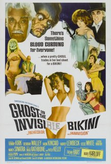 The Ghost in the Invisible Bikini