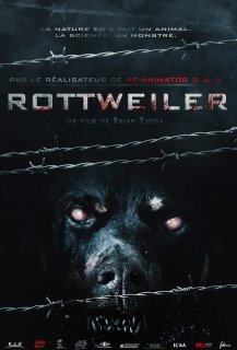 Rottweiler