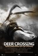 Deer Crossing