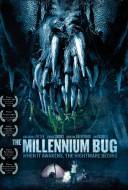 The Millennium Bug