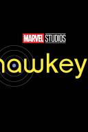 Hawkeye