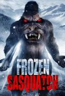 Frozen Sasquatch