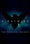 Nightwing: The Darkest Knight