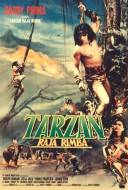 Tarzan Raja Rimba
