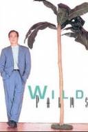 Wild Palms