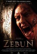 Zebun